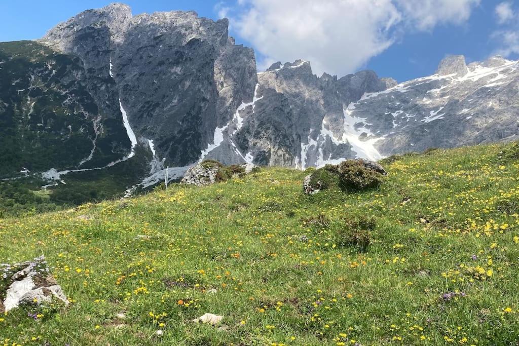 Mountain View Apartment Maria Alm am Steinernen Meer Ngoại thất bức ảnh