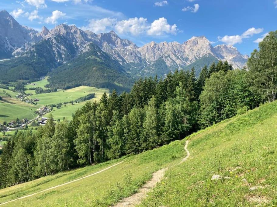 Mountain View Apartment Maria Alm am Steinernen Meer Ngoại thất bức ảnh